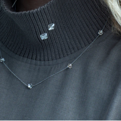 Flora Danica Forglemmigej Rhod. Slv Halskde 907.FMN-Ne-S