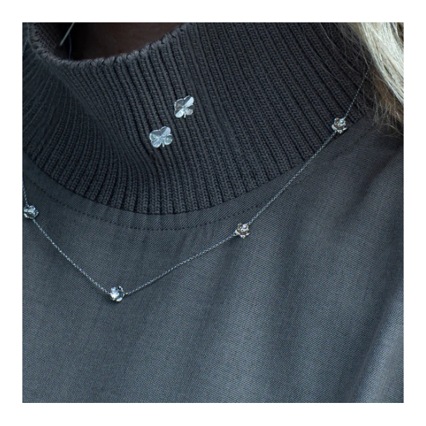 Flora Danica Forglemmigej Rhod. Slv Halskde 907.FMN-Ne-S