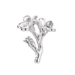 Flora Danica Forglemmigej Rhod. Slv Pin 907.FMN-Pi-S