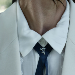 Flora Danica Forglemmigej Rhod. Slv Pin 907.FMN-Pi-S