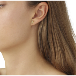 Flora Danica Forglemmigej Forgyldt Slv restikker 907.FMN-StPc-G