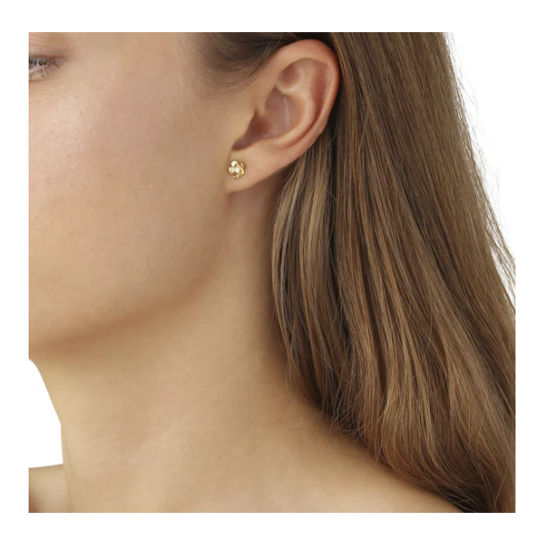 Flora Danica Forglemmigej Forgyldt Slv restikker 907.FMN-StPc-G