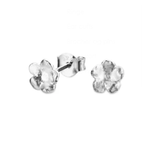 Flora Danica Forglemmigej Rhod. Slv restikker 907.FMN-StPc-S