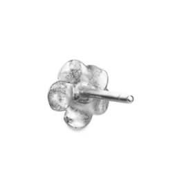 Flora Danica Forglemmigej Rhod. Slv restikker 907.FMN-StPc-S