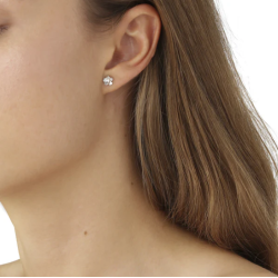 Flora Danica Forglemmigej Rhod. Slv restikker 907.FMN-StPc-S