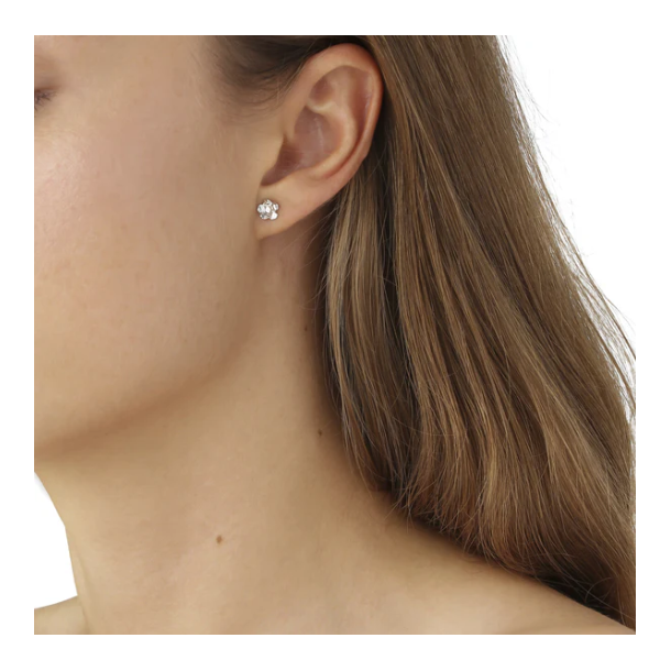 Flora Danica Forglemmigej Rhod. Slv restikker 907.FMN-StPc-S