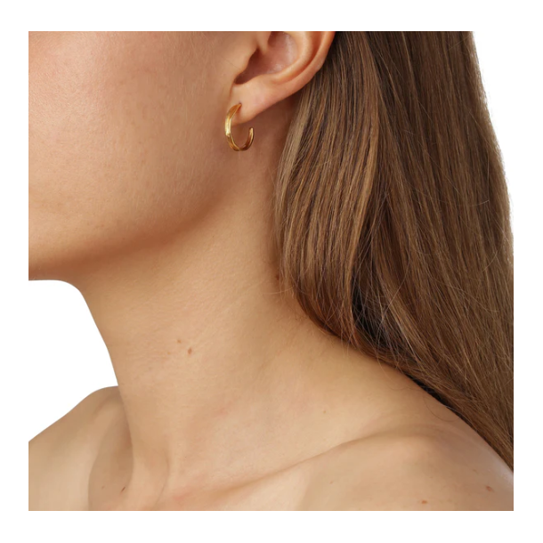 Flora Danica Grs Forgyldt Slv Creoler 907.Gr-HoPc-G