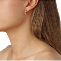 Flora Danica Grs Rhod. Slv Creoler 907.Gr-HoPc-S