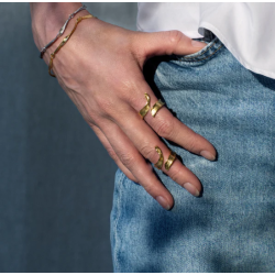 Flora Danica Grs Forgyldt Slv Ring 907.Gr-StRi-G-56