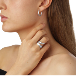 Flora Danica Grs Rhod. Slvring 907.Gr-StRi-S-58