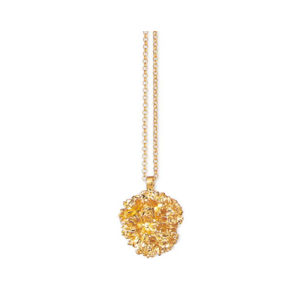 Flora Danica Persille Forgyldt Slv Halskde 907.PAR-Ne-G