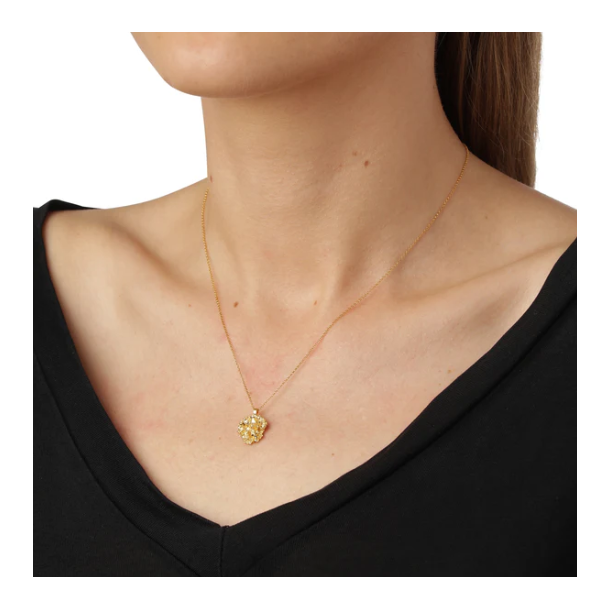 Flora Danica Persille Forgyldt Slv Halskde 907.PAR-Ne-G