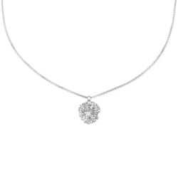 Flora Danica Persille Rhod. Slv Halskde 907.PAR-Ne-S