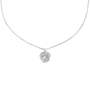 Flora Danica Persille Rhod. Slv Halskde 907.PAR-Ne-S