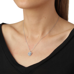 Flora Danica Persille Rhod. Slv Halskde 907.PAR-Ne-S