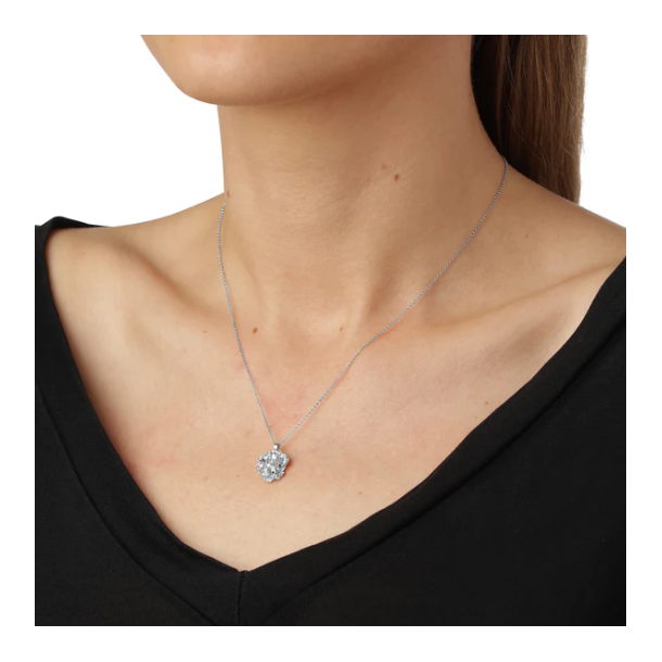 Flora Danica Persille Rhod. Slv Halskde 907.PAR-Ne-S