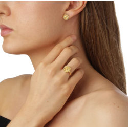 Flora Danica Persille Forgyldt Slvring 907.PAR-Ri-G-58