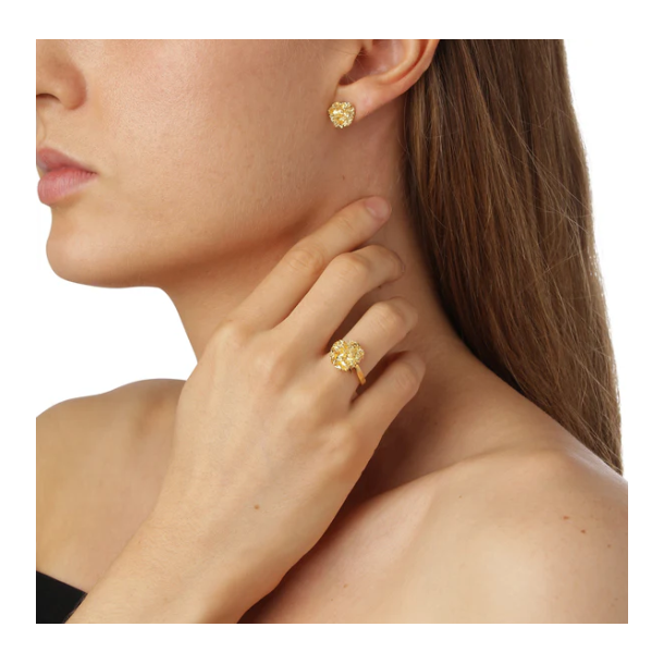 Flora Danica Persille Forgyldt Slvring 907.PAR-Ri-G-58