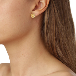 Flora Danica Persille Forgyldt Slv restikker 907.PAR-StPc-G