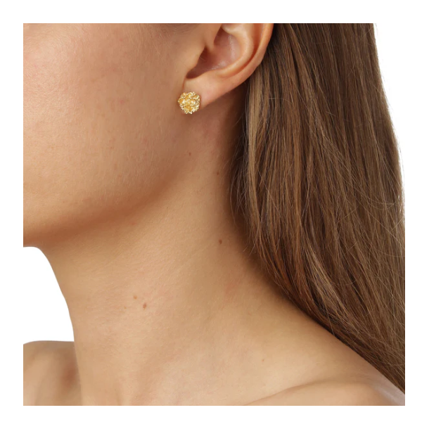 Flora Danica Persille Forgyldt Slv restikker 907.PAR-StPc-G