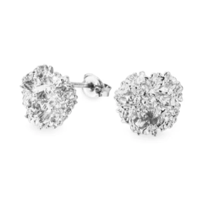 Flora Danica Persille Rhod. Slv restikker 907.PAR-StPc-S