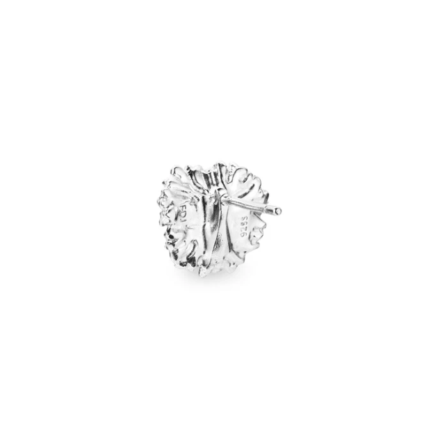 Flora Danica Persille Rhod. Slv restikker 907.PAR-StPc-S