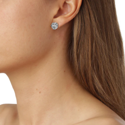 Flora Danica Persille Rhod. Slv restikker 907.PAR-StPc-S