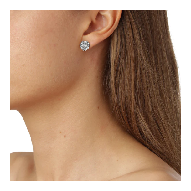 Flora Danica Persille Rhod. Slv restikker 907.PAR-StPc-S