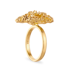 Flora Danica Persille Forgyldt Slvring 907.PAR-StRi-G-54