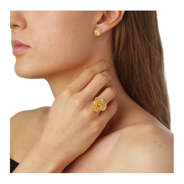 Flora Danica Persille Forgyldt Slvring 907.PAR-StRi-G-54