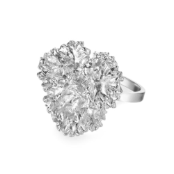 Flora Danica Persille Rhod. Slvring 907.PAR-StRi-S-56