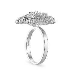 Flora Danica Persille Rhod. Slvring 907.PAR-StRi-S-56