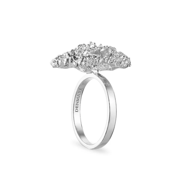 Flora Danica Persille Rhod. Slvring 907.PAR-StRi-S-56