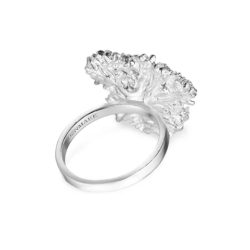 Flora Danica Persille Rhod. Slvring 907.PAR-StRi-S-56