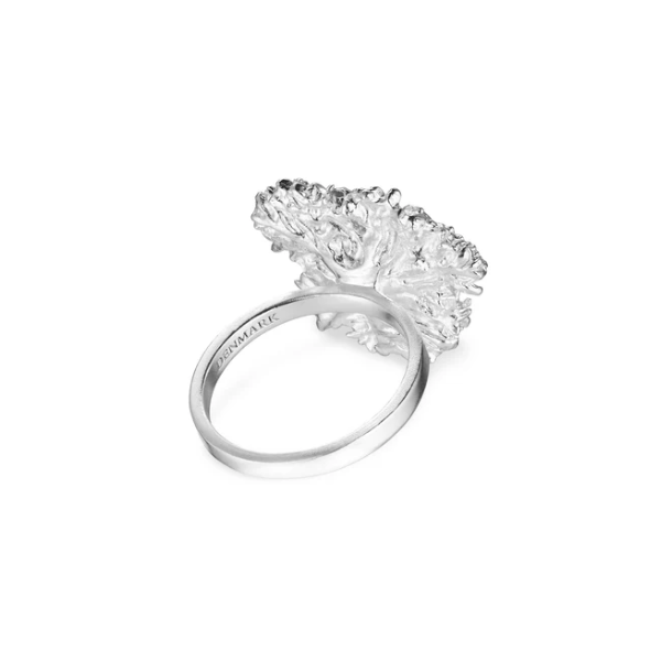 Flora Danica Persille Rhod. Slvring 907.PAR-StRi-S-56