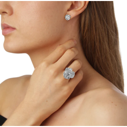 Flora Danica Persille Rhod. Slvring 907.PAR-StRi-S-56