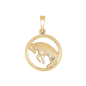 Siersb�l 8kt V�dder Stjernetegn Vedh�ng 15mm A2160033