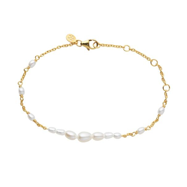 Forgyldt Aura Armbnd 2-3902wp-gp