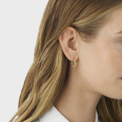 MOONLIGHT GRAPES reringe 20001190