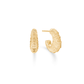 SZ Seashell Secrets Fg. Halvcreoler Stor 7210907