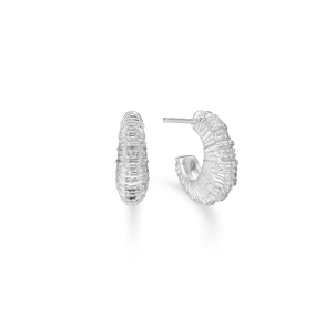 SZ Seashell Secrets Halvcreoler 7110907