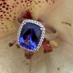 14 Kt Hvidgulds Ring m/Tanzanit/Brillant