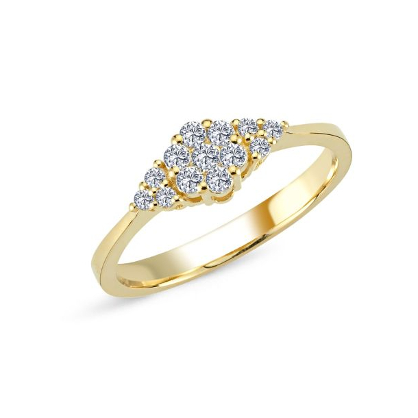 Nuran 14kt Rg Lilja Ring m/0,30ct - A3040 030